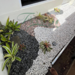 Taman Kering Anti Ribet? Cantik, Hemat Air, dan Ramah Lingkungan!