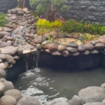 Kolam Hias Impian? Ini Panduan Lengkapnya Biar Gak Salah Pilih!