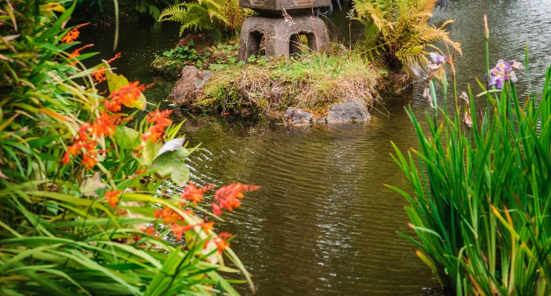 Kolam Impianmu, Tanpa Bikin Kantong Jebol!