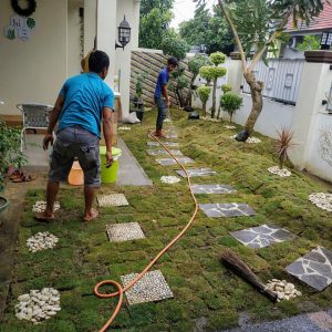 Floria Landscape (24)