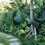 Jasa Taman Jogja untuk Rumah Berkelas