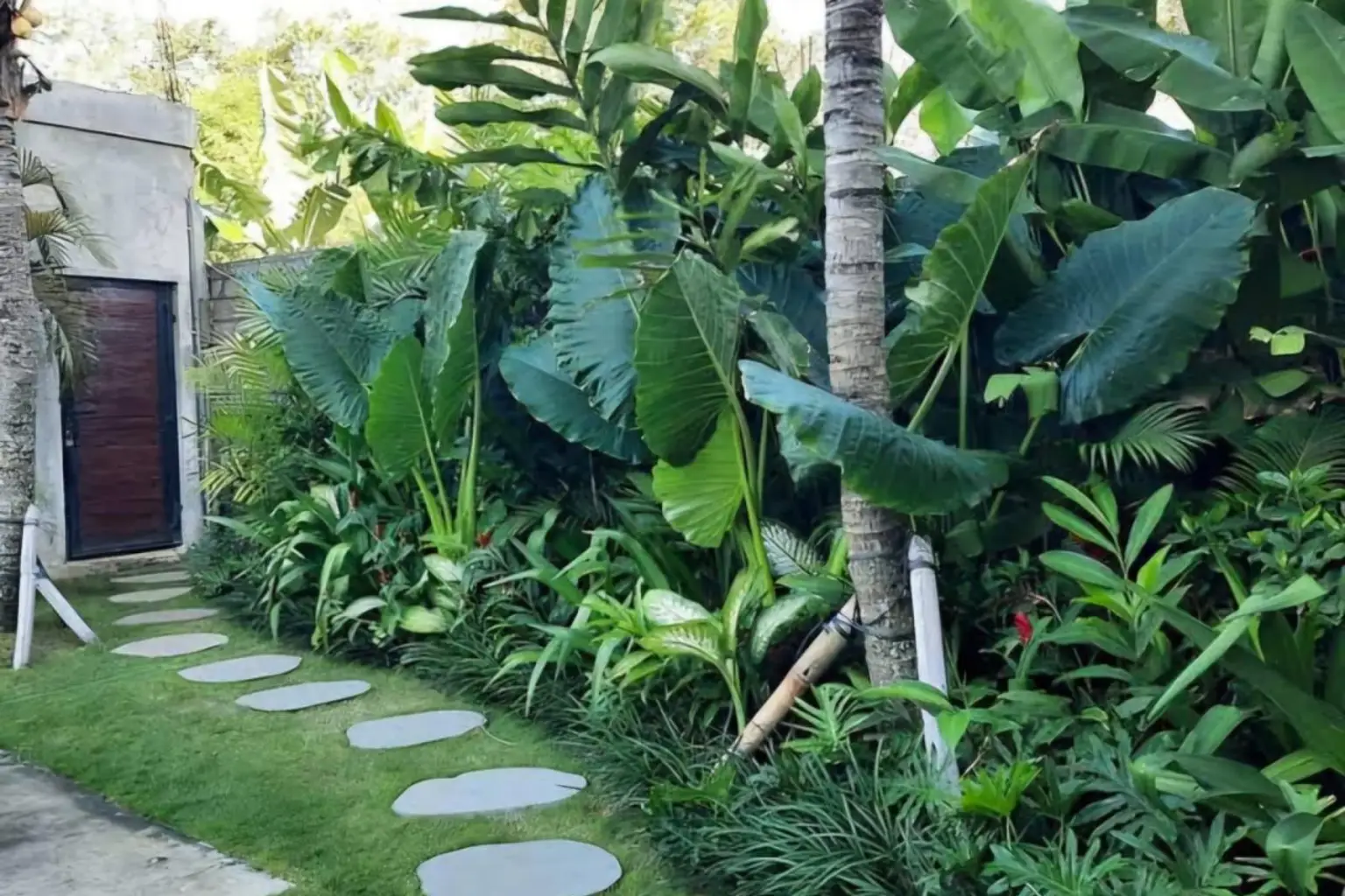 Jasa Taman Jogja untuk Rumah Berkelas