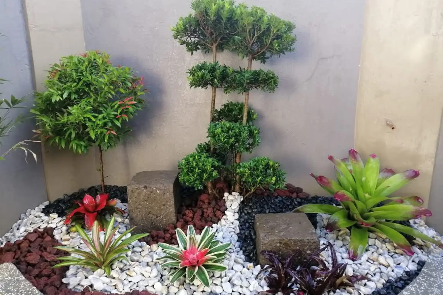 Pembuatan Taman Tropis Jogja untuk Rumah Premium