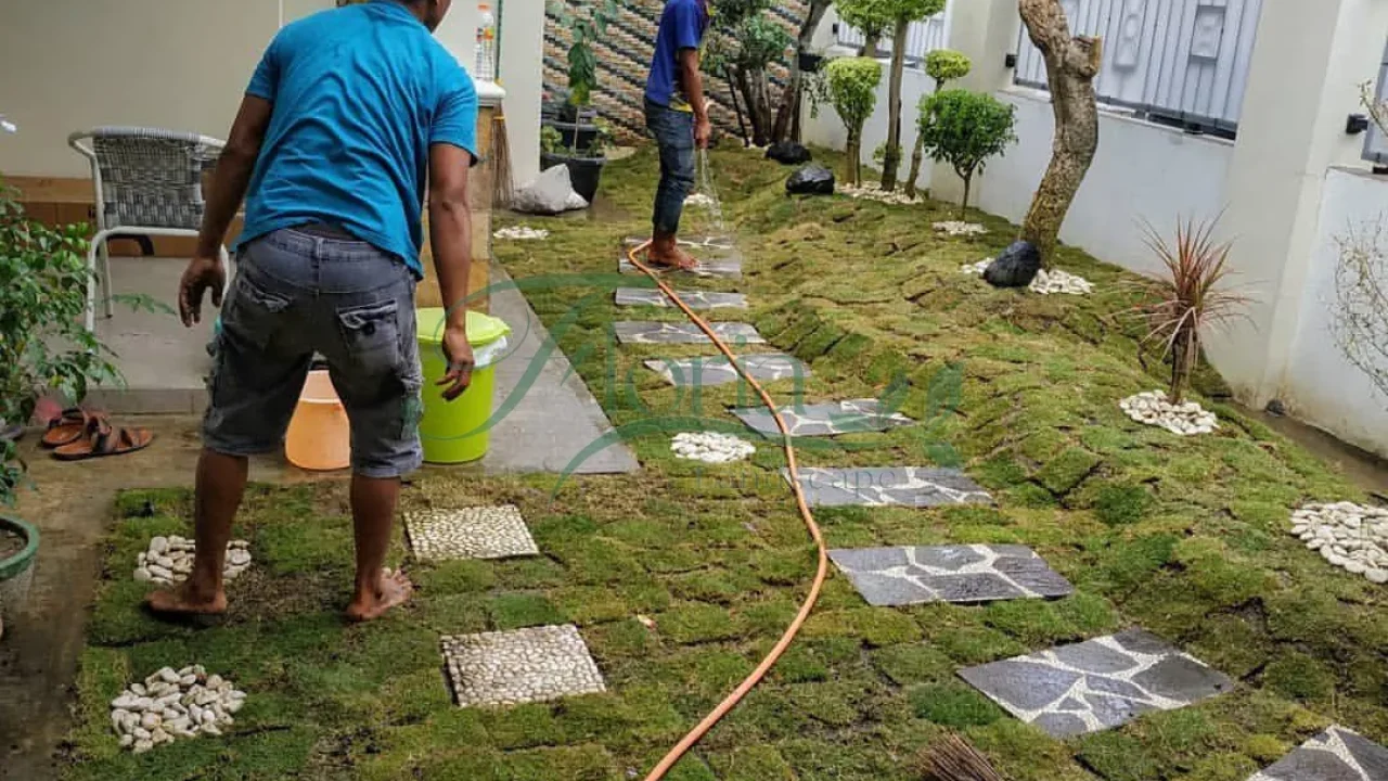 Portfolio Floria Landscape (20)